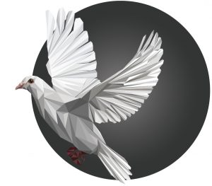 Flying white pidgeon